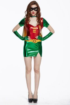 sexy robin girl costume