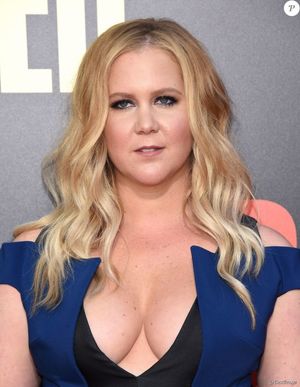 amy schumer topless snatched